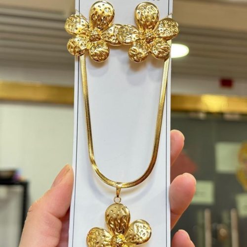 Premium steel necklace and earrings set